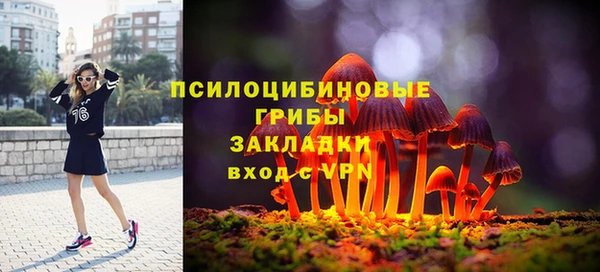 apvp Алексин