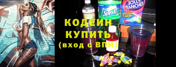 хмурый Алзамай