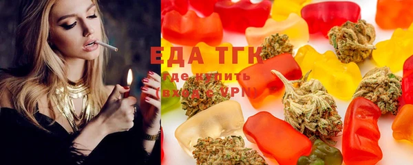 хмурый Алзамай