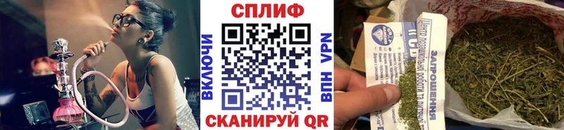 где купить наркотик  Волгодонск  Канабис планчик 